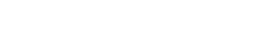 VESMIR